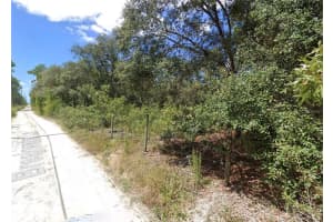 16513-16515 BREAKWATER LANE, SPRING HILL, FL 34610 - MLS#MFRTB8487363