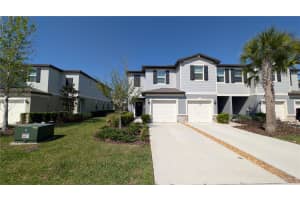 6049 SHINER STREET, LAND O LAKES, FL 34638 - MLS#MFRTB8487369