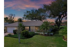 984 GILLESPIE DRIVE, PALM HARBOR, FL 34684 - MLS#MFRTB8487388