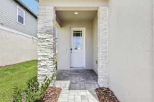 2166 WILDBERRY WAY, MINNEOLA, FL 34715 - MLS#MFRTB8487395