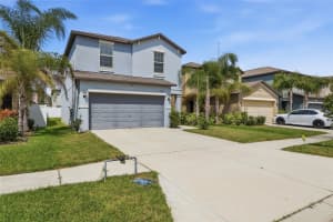 7412 FRENCH MARIGOLD AVENUE, TAMPA, FL 33619 - MLS#MFRTB8487406