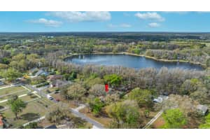 19202 ROGERS ROAD, ODESSA, FL 33556 - MLS#MFRTB8487443