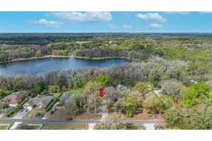 19202 ROGERS ROAD, ODESSA, FL 33556 - MLS#MFRTB8487443