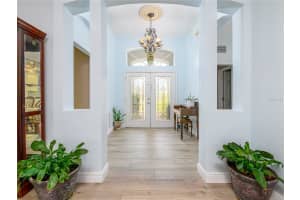 10515 CANARY ISLE DRIVE, TAMPA, FL 33647 - MLS#MFRTB8487456