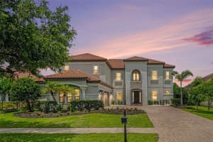 14903 OLD TOM MORRIS COURT, TAMPA, FL 33626 - MLS#MFRTB8487463