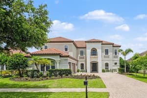 14903 OLD TOM MORRIS COURT, TAMPA, FL 33626 - MLS#MFRTB8487463