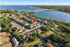 1008 MANGO COURT, OLDSMAR, FL 34677 - MLS#MFRTB8487471