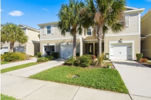 1008 MANGO COURT, OLDSMAR, FL 34677 - MLS#MFRTB8487471