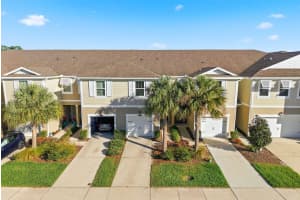 1008 MANGO COURT, OLDSMAR, FL 34677 - MLS#MFRTB8487471