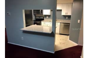 124 LOBLOLLY COURT, OLDSMAR, FL 34677 - MLS#MFRTB8487484