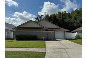 5906 BIRCHWOOD DRIVE, TAMPA, FL 33625 - MLS#MFRTB8487486