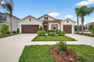 33487 AZALEA RIDGE DRIVE, WESLEY CHAPEL, FL 33545 - MLS#MFRTB8487517