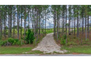 13070 CROWELL ROAD, BROOKSVILLE, FL 34613 - MLS#MFRTB8487548