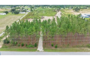 13070 CROWELL ROAD, BROOKSVILLE, FL 34613 - MLS#MFRTB8487548
