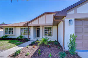 15143 SPRINGVIEW STREET, TAMPA, FL 33624 - MLS#MFRTB8487555