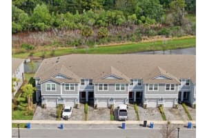 8327 WILDFLOWER GLEN AVENUE, ODESSA, FL 33556 - MLS#MFRTB8487560