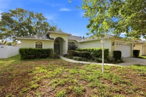 24644 LAUREL RIDGE DRIVE, LUTZ, FL 33559 - MLS#MFRTB8487572