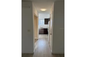 13905 VILLAGE TERRACE DRIVE, TAMPA, FL 33624 - MLS#MFRTB8487578