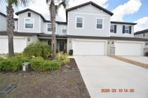 6252 SHINER STREET, LAND O LAKES, FL 34638 - MLS#MFRTB8487625
