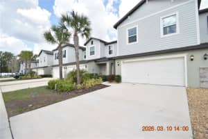 6252 SHINER STREET, LAND O LAKES, FL 34638 - MLS#MFRTB8487625