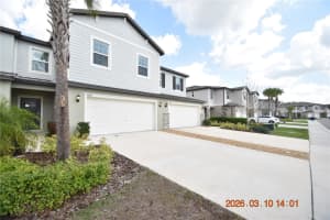 6252 SHINER STREET, LAND O LAKES, FL 34638 - MLS#MFRTB8487625