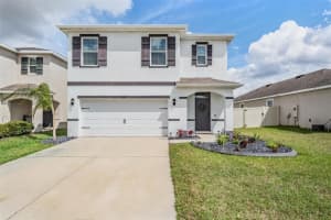 32699 DASHEL PALM LANE, WESLEY CHAPEL, FL 33543 - MLS#MFRTB8487642