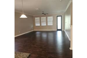 10606 BAHAMA WOODSTAR COURT, RIVERVIEW, FL 33579 - MLS#MFRTB8487646