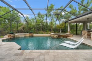 11627 RENAISSANCE VIEW COURT, TAMPA, FL 33626 - MLS#MFRTB8487650