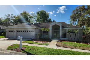 3037 CREST DRIVE, CLEARWATER, FL 33759 - MLS#MFRTB8487703