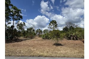 12238 ZITTLE AVENUE, PORT CHARLOTTE, FL 33981 - MLS#MFRTB8487705