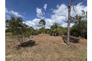 12238 ZITTLE AVENUE, PORT CHARLOTTE, FL 33981 - MLS#MFRTB8487705