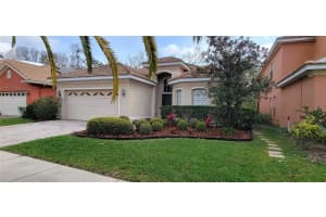 18009 MAUI ISLE DRIVE, TAMPA, FL 33647 - MLS#MFRTB8487733
