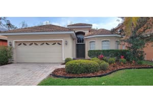 18009 MAUI ISLE DRIVE, TAMPA, FL 33647 - MLS#MFRTB8487733