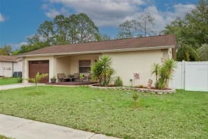 13837 PATHFINDER DRIVE, TAMPA, FL 33625 - MLS#MFRTB8487795