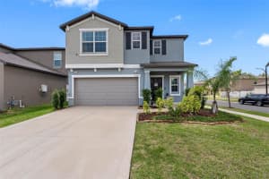 10369 Blue Plume Ct, RIVERVIEW