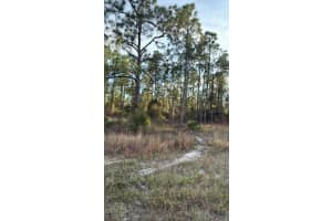 918 BELMONT STREET, LEHIGH ACRES, FL 33974 - MLS#MFRTB8487798