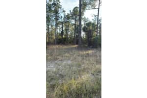 918 BELMONT STREET, LEHIGH ACRES, FL 33974 - MLS#MFRTB8487798
