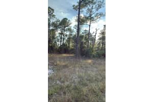 918 BELMONT STREET, LEHIGH ACRES, FL 33974 - MLS#MFRTB8487798