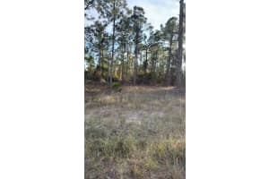 918 BELMONT STREET, LEHIGH ACRES, FL 33974 - MLS#MFRTB8487798