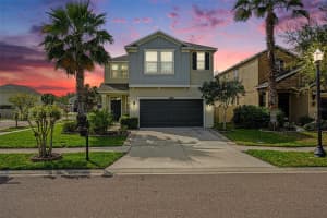 8165 FAIRE FROST LANE, LAND O LAKES, FL 34637 - MLS#MFRTB8487813