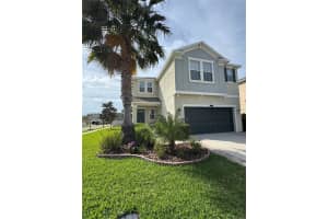 8165 FAIRE FROST LANE, LAND O LAKES, FL 34637 - MLS#MFRTB8487813