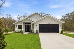 9342 WHEYSTONE DRIVE, WEBSTER, FL 33597 - MLS#MFRTB8487814