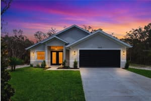 9342 WHEYSTONE DRIVE, WEBSTER, FL 33597 - MLS#MFRTB8487814