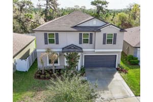 12905 WILDFLOWER MEADOW DRIVE, RIVERVIEW, FL 33579 - MLS#MFRTB8487831