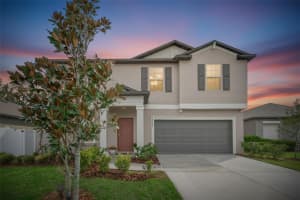 12905 WILDFLOWER MEADOW DRIVE, RIVERVIEW, FL 33579 - MLS#MFRTB8487831
