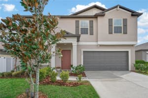 12905 WILDFLOWER MEADOW DRIVE, RIVERVIEW, FL 33579 - MLS#MFRTB8487831