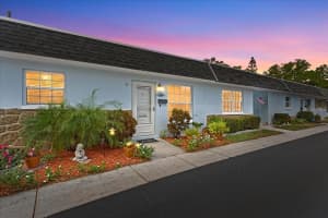 266 SKY LOCH DRIVE, DUNEDIN, FL 34698 - MLS#MFRTB8487834