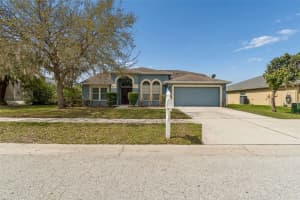 5323 BOLD VENTURE PLACE, WESLEY CHAPEL, FL 33544 - MLS#MFRTB8487835