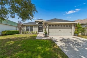 2909 BILLINGHAM DRIVE, LAND O LAKES, FL 34639 - MLS#MFRTB8487836