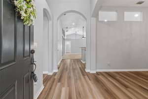 2909 BILLINGHAM DRIVE, LAND O LAKES, FL 34639 - MLS#MFRTB8487836